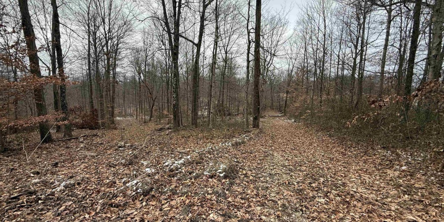 12 W Porter Ridge Road, Spencer, Indiana 47460,MLS,202548029