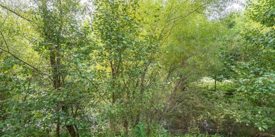 2870 E Creeks Edge Drive, Bloomington, Indiana 47401-8381,MLS,202548638