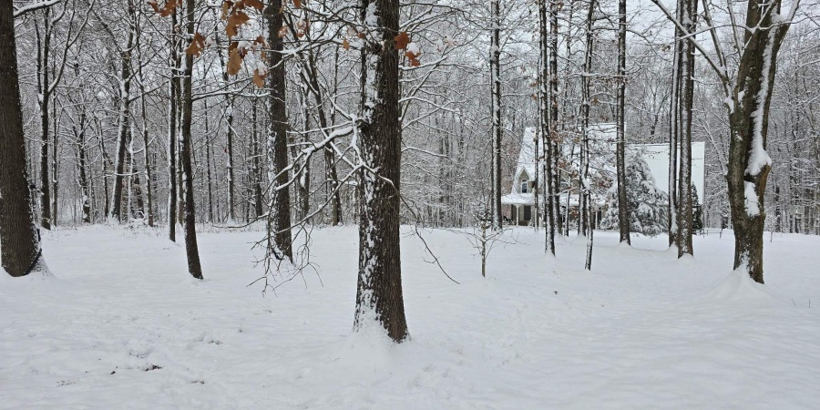 301 Riggle Road, Williams, Indiana 47470,MLS,202548883