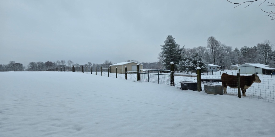 301 Riggle Road, Williams, Indiana 47470,MLS,202548883