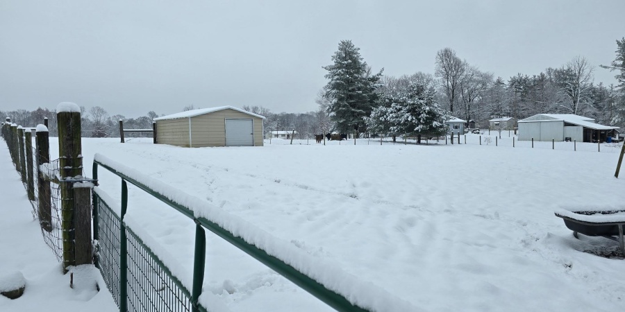 301 Riggle Road, Williams, Indiana 47470,MLS,202548883