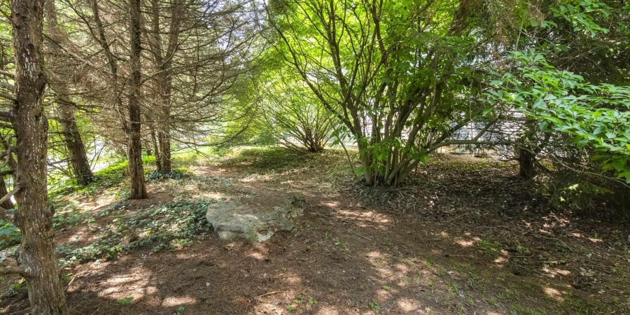 1121 W Grant Street, Ellettsville, Indiana 47429,MLS,202525195