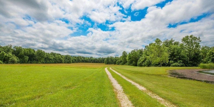 2907 Dubois Road, Spencer, Indiana 47460,MLS,202549067