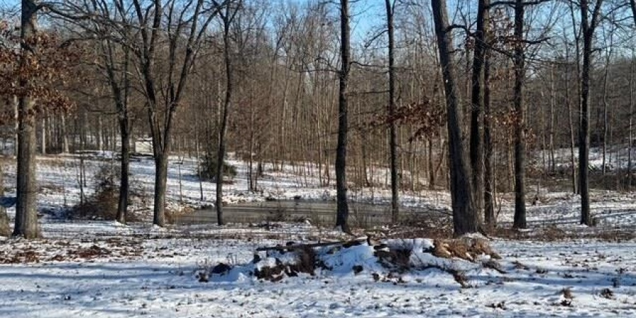 3547 S State Road 45 Highway, Springville, Indiana 47462,MLS,202549179