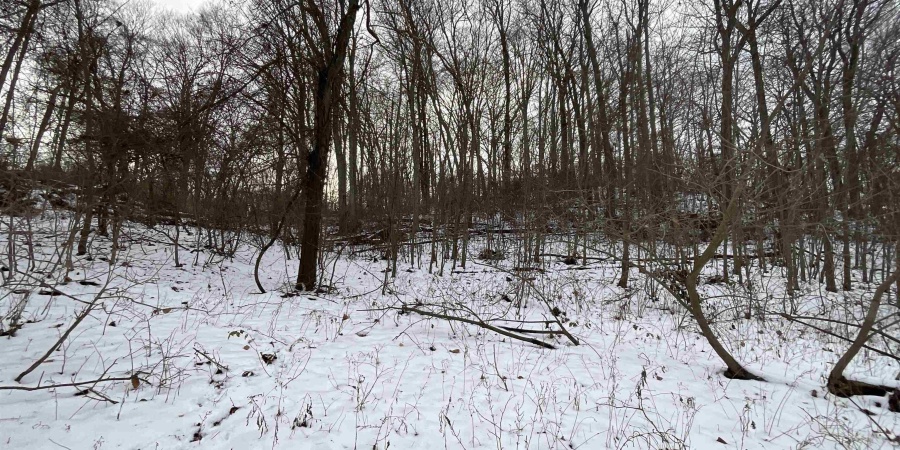 12144 Fertig Road, Spencer, Indiana 47460,MLS,202549268