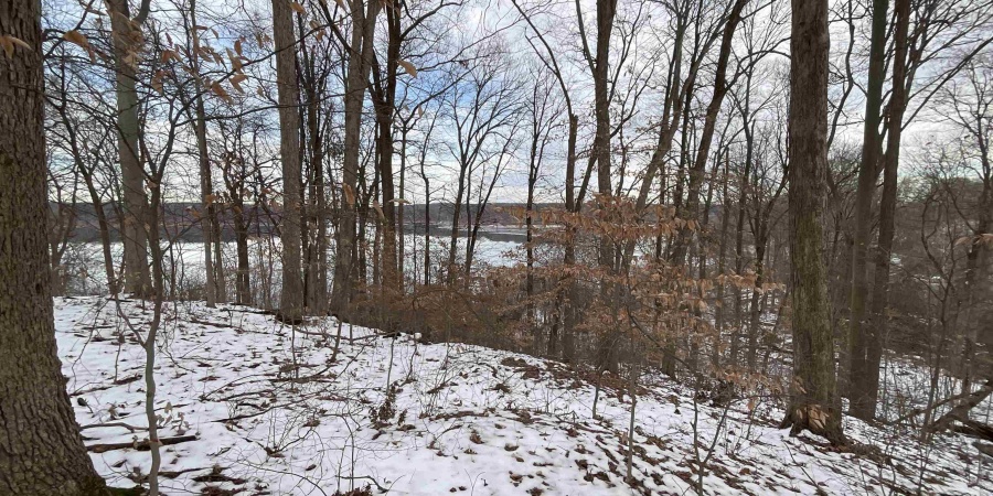 12144 Fertig Road, Spencer, Indiana 47460,MLS,202549268