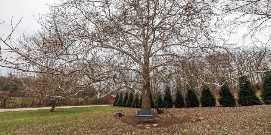 4826 N Love Lane, Bloomington, Indiana 47404,MLS,202549704