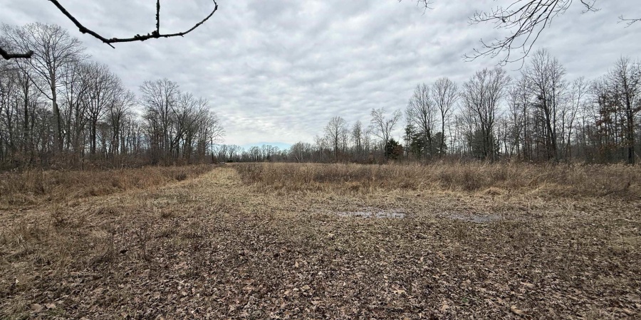 0 Steubenville Road, Coal City, Indiana 47427,MLS,202549816