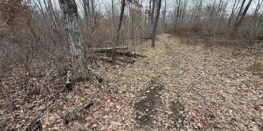 0 Steubenville Road, Coal City, Indiana 47427,MLS,202549816