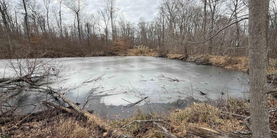 0 Steubenville Road, Coal City, Indiana 47427,MLS,202549816