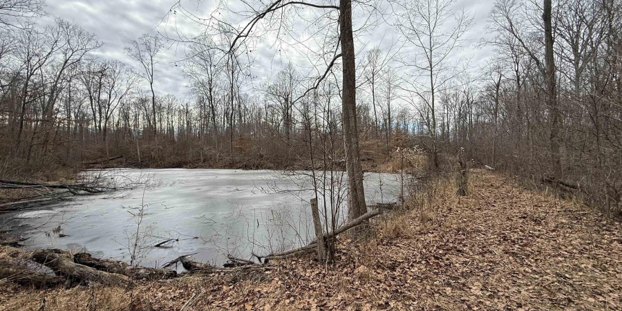 0 Steubenville Road, Coal City, Indiana 47427,MLS,202549816