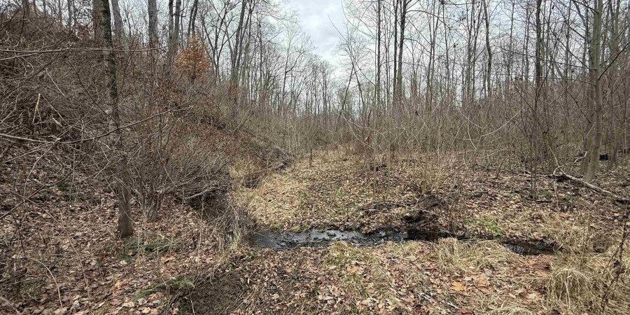 0 Steubenville Road, Coal City, Indiana 47427,MLS,202549816