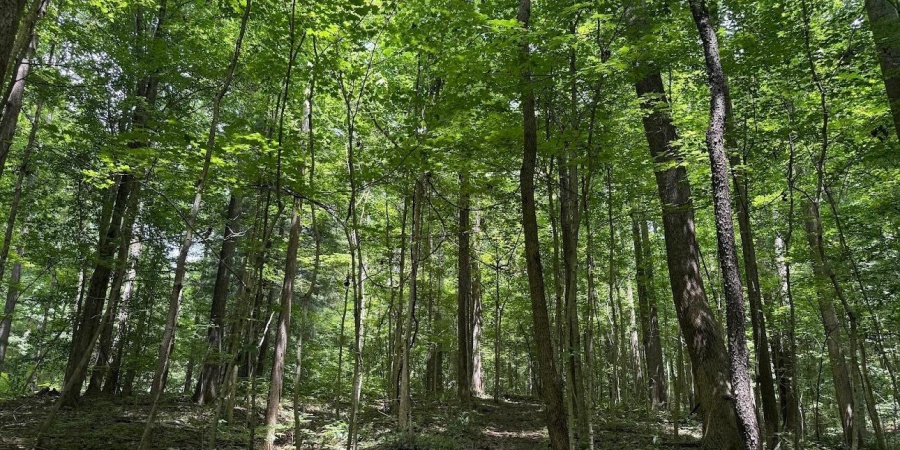 8444 N Red Hill Road, Ellettsville, Indiana 47429,MLS,202549900