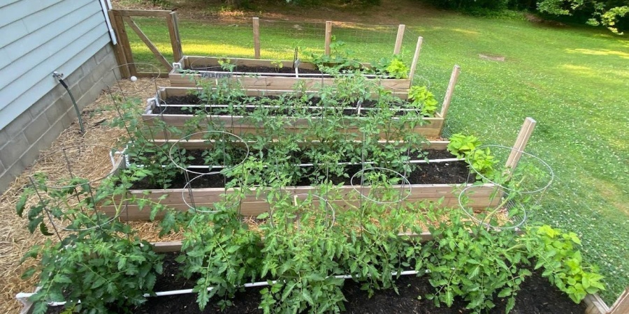 8444 N Red Hill Road, Ellettsville, Indiana 47429,MLS,202549900