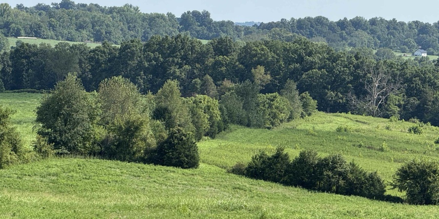 1540 Younger Rd, Bedford, Indiana 47421,MLS,202504700