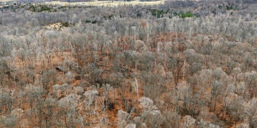 6355 Stogsdill Road, Bloomington, Indiana 47404,MLS,202600026