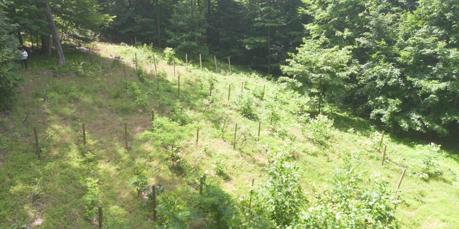 946 E Chambers Pike, Bloomington, Indiana 47408,MLS,202600055