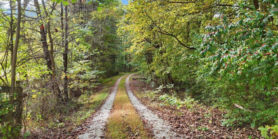 946 E Chambers Pike, Bloomington, Indiana 47408,MLS,202600055