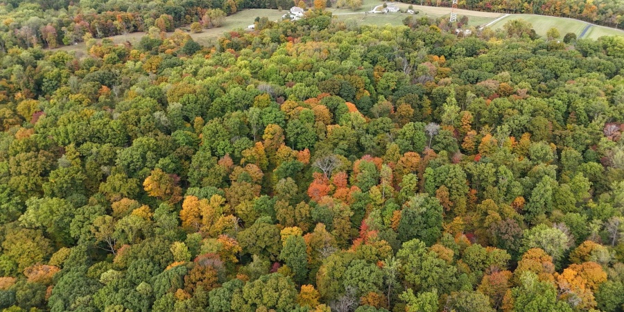 946 E Chambers Pike, Bloomington, Indiana 47408,MLS,202600055