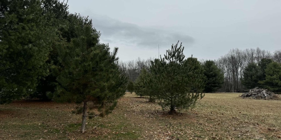 4268 E Farr Road, Bloomington, Indiana 47408,MLS,202600079