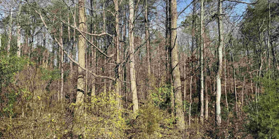 3065 Straight Line Road, Freedom, Indiana 47431-7293,MLS,202600632