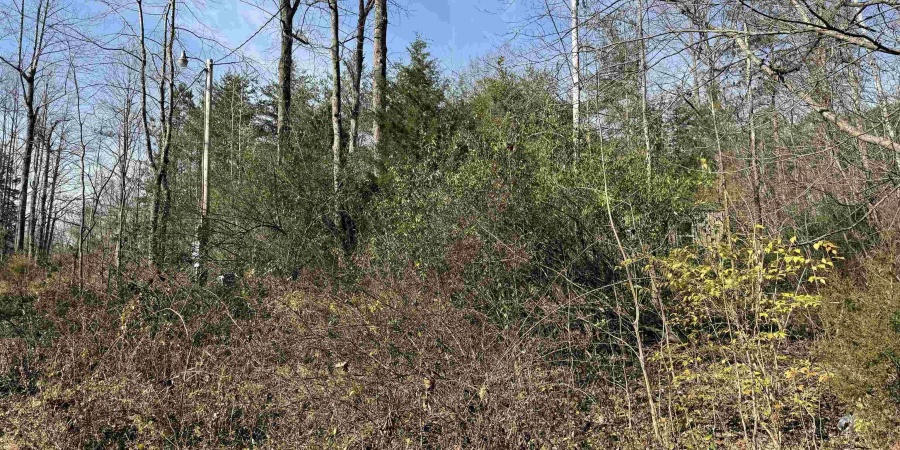 3065 Straight Line Road, Freedom, Indiana 47431-7293,MLS,202600632