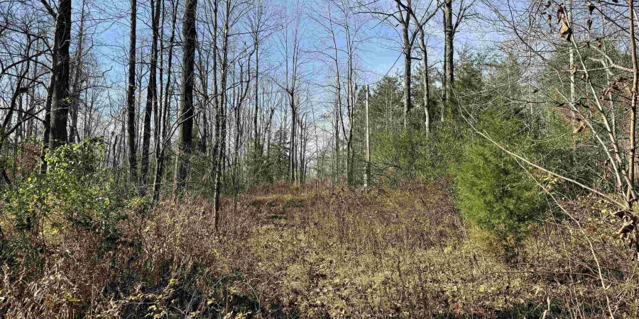 3065 Straight Line Road, Freedom, Indiana 47431-7293,MLS,202600632