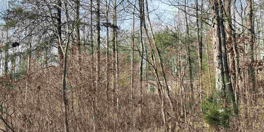 3065 Straight Line Road, Freedom, Indiana 47431-7293,MLS,202600632