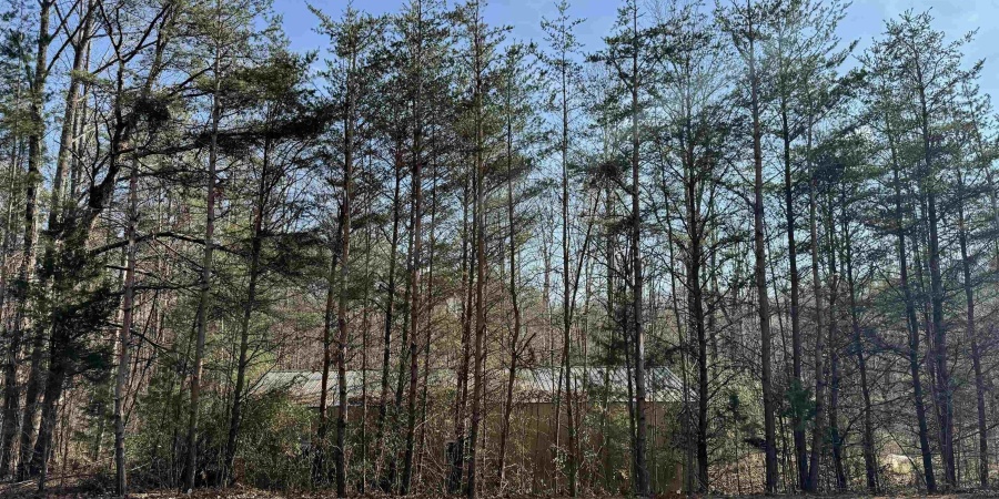 3065 Straight Line Road, Freedom, Indiana 47431-7293,MLS,202600632