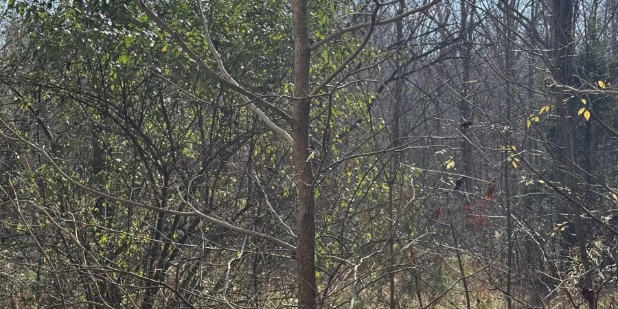 3065 Straight Line Road, Freedom, Indiana 47431-7293,MLS,202600632