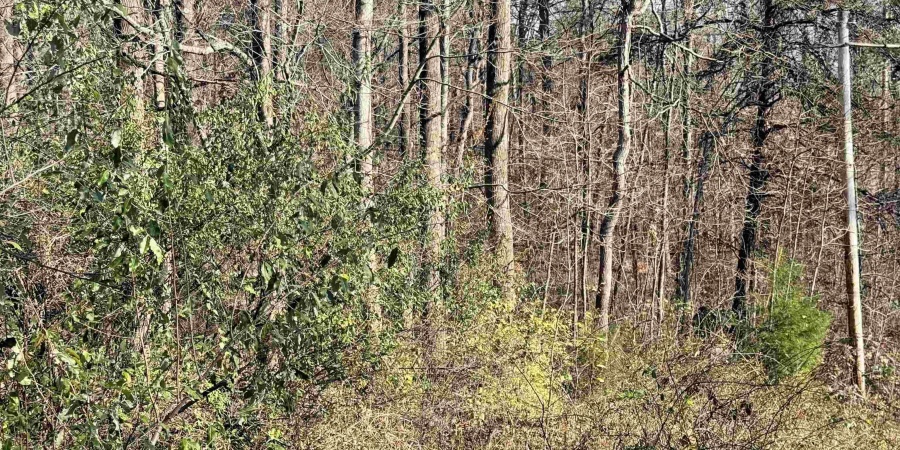 3065 Straight Line Road, Freedom, Indiana 47431-7293,MLS,202600632