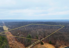 41+/- Acres Off of 675 E, Solsberry, Indiana 47459,MLS,202600769