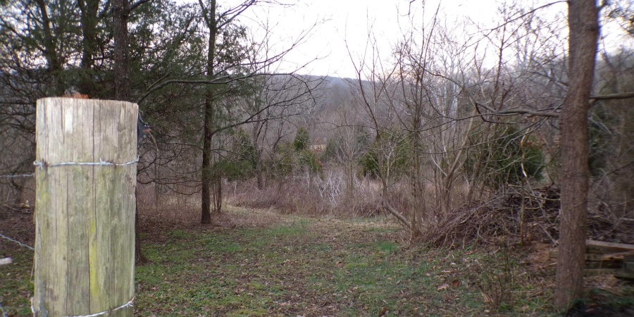 453 W State Road 60 Road, Mitchell, Indiana 47446,MLS,202601107