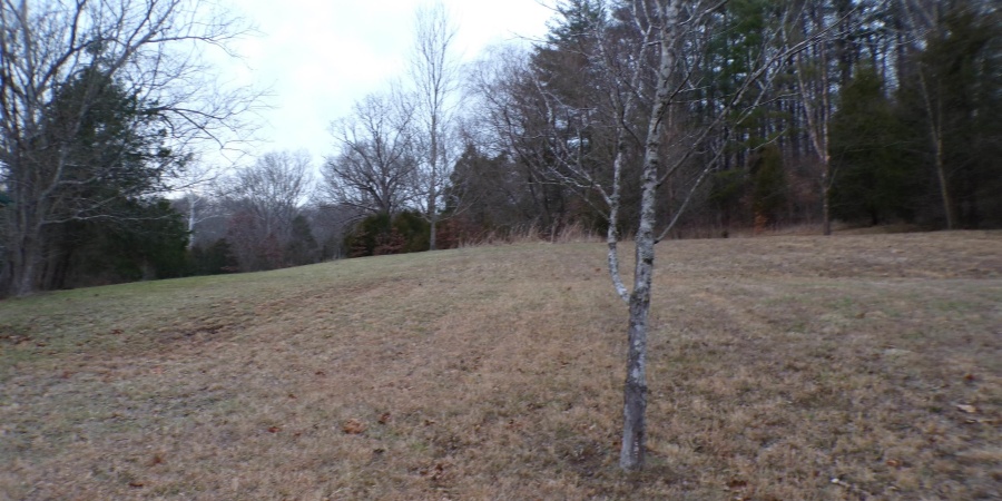 453 W State Road 60 Road, Mitchell, Indiana 47446,MLS,202601107