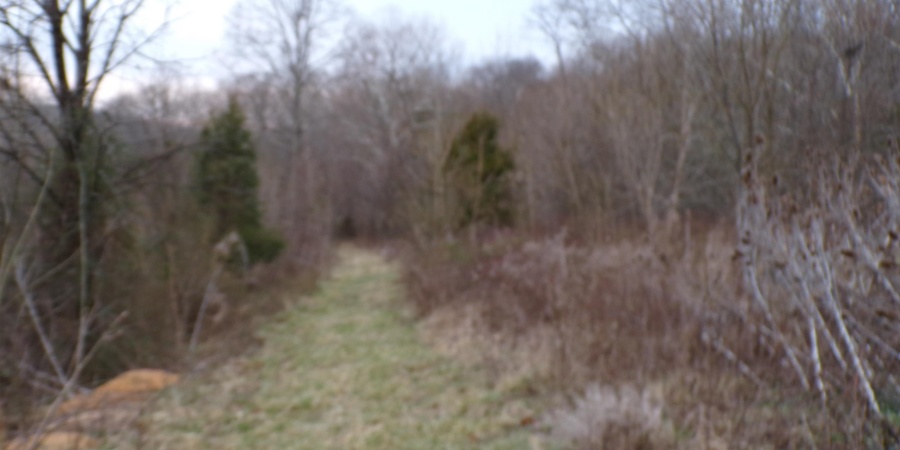 453 W State Road 60 Road, Mitchell, Indiana 47446,MLS,202601107