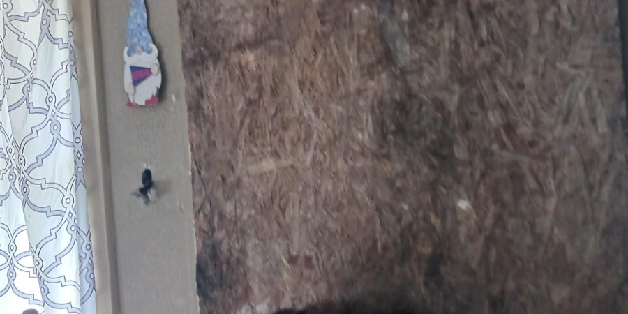 605 N Columbia Street, Brazil, Indiana 47834,MLS,202534248