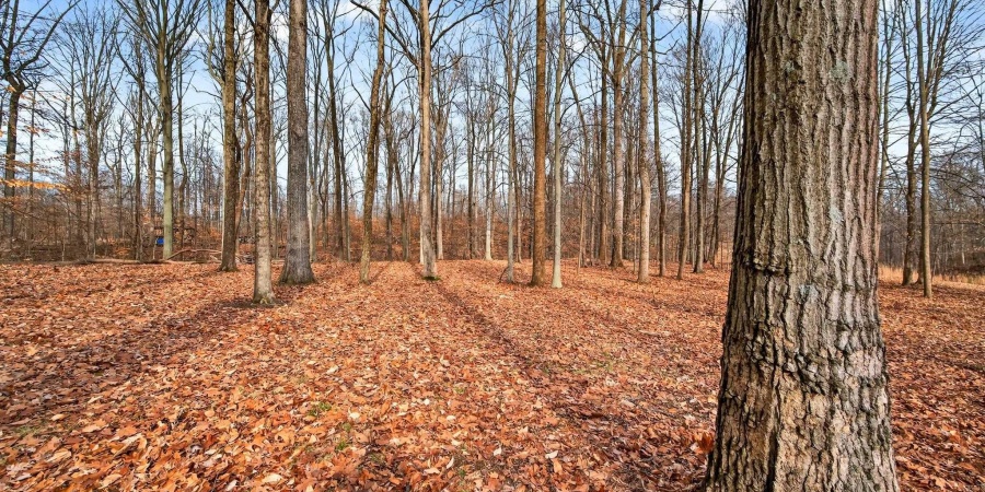 5041 N Nature Hills Lane, Martinsville, Indiana 46151,MLS,202601600