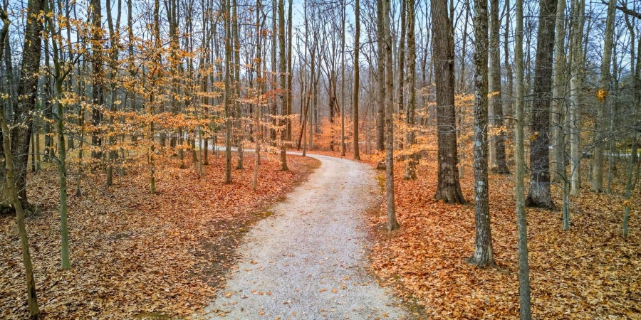 5041 N Nature Hills Lane, Martinsville, Indiana 46151,MLS,202601600