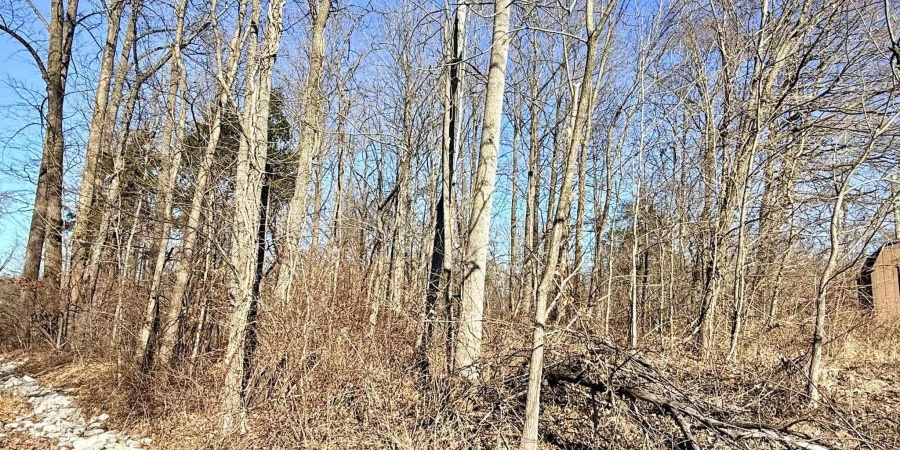 TBD Riley Boulevard, Bedford, Indiana 47421,MLS,202602012