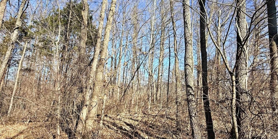 TBD Riley Boulevard, Bedford, Indiana 47421,MLS,202602012