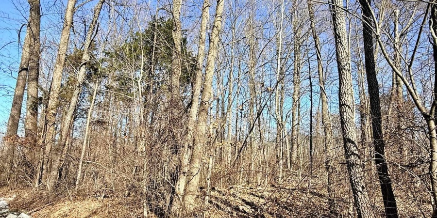 TBD Riley Boulevard, Bedford, Indiana 47421,MLS,202602012