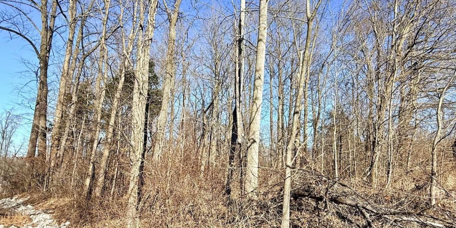 TBD Riley Boulevard, Bedford, Indiana 47421,MLS,202602012