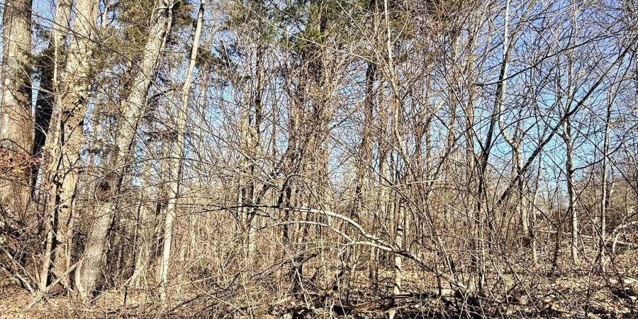 TBD Riley Boulevard, Bedford, Indiana 47421,MLS,202602012