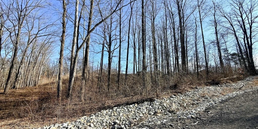 TBD Riley Boulevard, Bedford, Indiana 47421,MLS,202602012