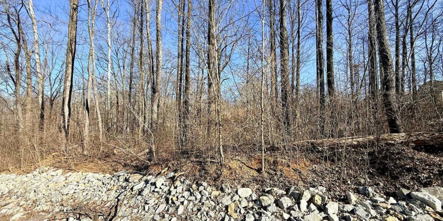 TBD Riley Boulevard, Bedford, Indiana 47421,MLS,202602012