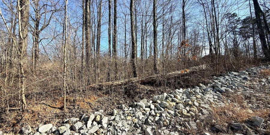 TBD Riley Boulevard, Bedford, Indiana 47421,MLS,202602012