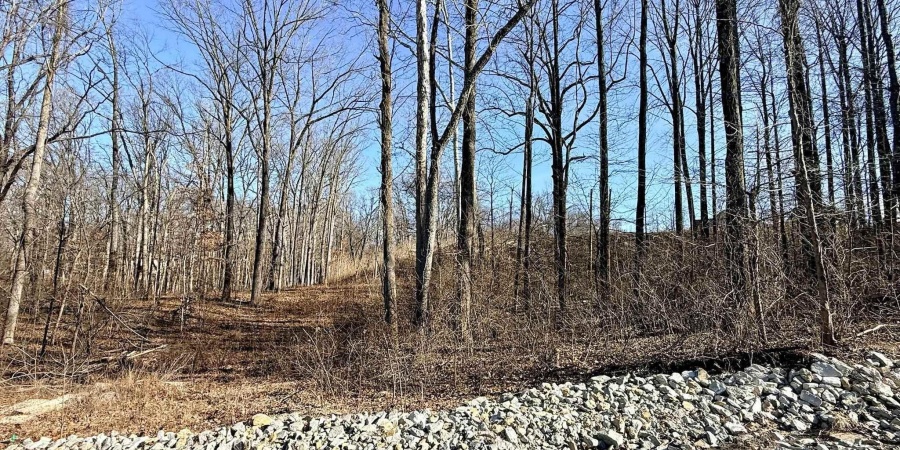 TBD Riley Boulevard, Bedford, Indiana 47421,MLS,202602012