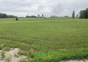 2156 E Fox Lane, Bloomington, Indiana 47401,MLS,202528041