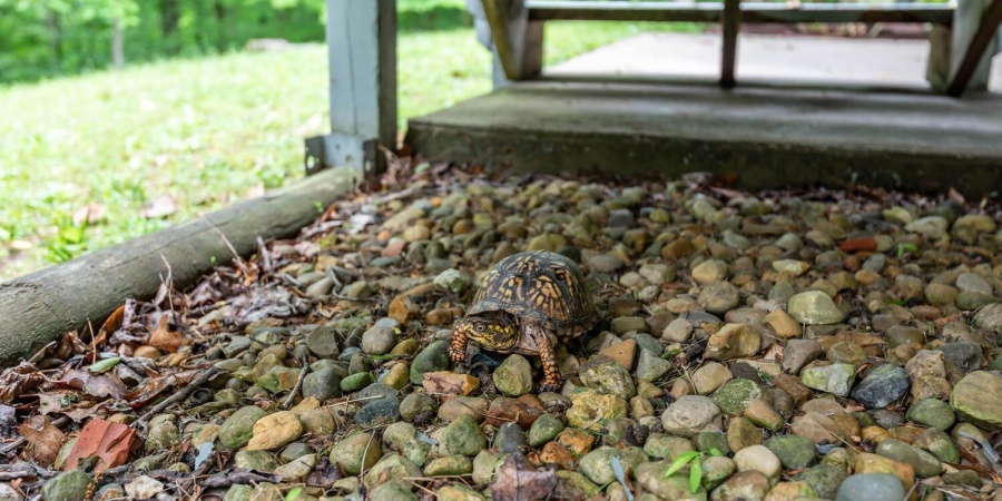 2557 S Smith Road, Bloomington, Indiana 47401-8943,MLS,202602136