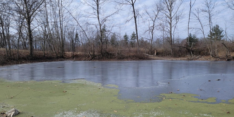 County Road 200 N, Linton, Indiana 47441,MLS,202602153